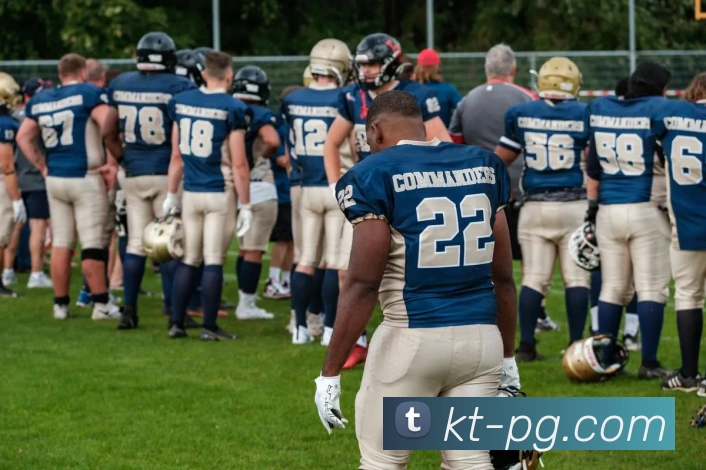 App Interface Preview